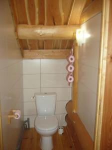 a small bathroom with a toilet in a room at La fuste ardennaise in Haybes
