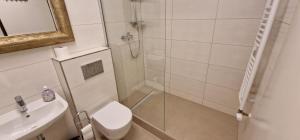 ein Badezimmer mit Dusche, Toilette und Waschbecken in der Unterkunft City Apartment Cologne-Weiden in Köln + 4 Fotos