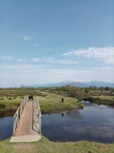 a bridge over a river with horses grazing in a field at Apart townhouse in K'obulet'i