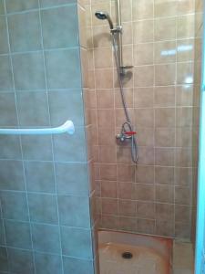 a bathroom with a shower with a toilet in it at Beau repaire in Remilly-Aillicourt