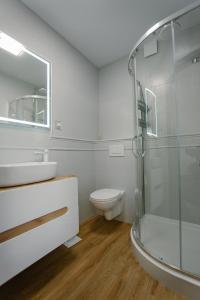 ヴジェシニャにあるHotel Kosmowskiのバスルーム(トイレ、洗面台、シャワー付)