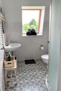 a bathroom with a sink and a toilet and a window at Beltes Guest House in Jūrmala