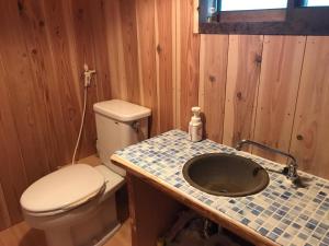 uma casa de banho com um WC e um lavatório em 天女座エンタティメントゲストハウス em Kumano