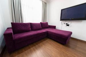 ein lila Sofa im Wohnzimmer mit einem Flachbild-TV in der Unterkunft 1st FLOOR STUDIO in TAKSİM NEAR İSTİKLAL STREET in Istanbul