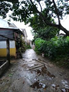 a wet street with a tree and a house at Home stay jaya pribadi By 29 