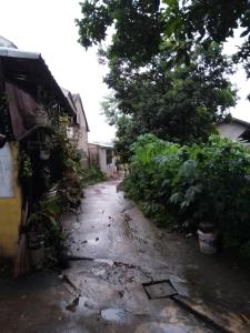 eine unbefestigte Straße neben einem Gebäude und einem Baum in der Unterkunft Home stay jaya pribadi By 29 