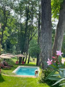 a dog standing next to a swimming pool at CHATEAU DU GO in Albi