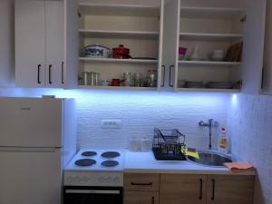 Kuchyň nebo kuchyňský kout v ubytování Apartman Cmiljanic
