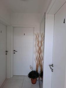 a white hallway with a door and a plant at Apartments Ostojic in Krk