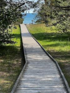 eine hölzerne Promenade, die in ein Feld mit Bäumen führt in der Unterkunft Albatross_resort_alejaa in Ķesterciems