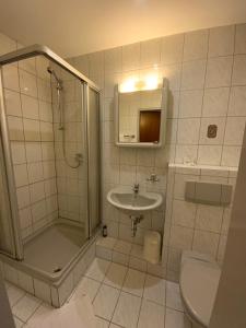 a bathroom with a shower and a sink and a toilet at Hotel Restaurant Blumenhof in Baesweiler