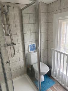 a bathroom with a toilet and a shower at The Victorian lodge in Ryde