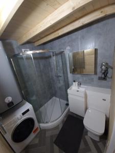 a bathroom with a shower and a toilet and a sink at Piniowy Domek - Roztocze in Siedliska