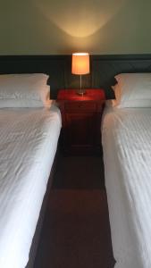 a bedroom with two beds and a lamp on a night stand at Hotel Sergul in London