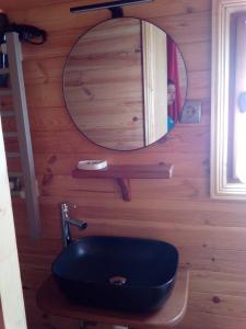 a bathroom with a black toilet and a mirror at Les Insolites de Nini in Grainville-Ymauville