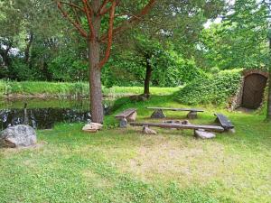 una mesa de picnic y un árbol junto a un estanque en Vila Puriena, en Kurtuvėnai