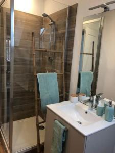 a bathroom with a shower and a sink and a shower at Côté Loire in Blois