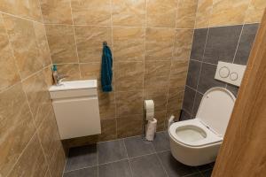 Kúpeľňa v ubytovaní Chaloupka Borůvka + 22 fotografií