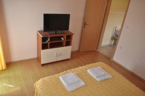 TV a/nebo společenská místnost v ubytování Apartments Zora