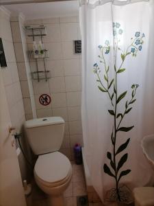 a bathroom with a toilet and a shower curtain with a flower on it at D apartment in Nea Kallikrateia