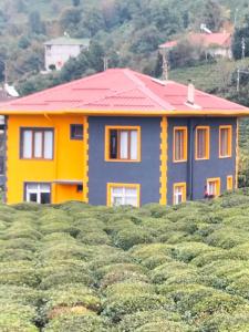 een huis met een rood dak bovenop een heuvel bij Kemer konak in Cayeli