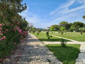 a brick path in a park with pink flowers at Vacation House in Draç