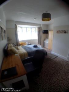 ein Schlafzimmer mit einem Bett, einem Sofa und einem Fenster in der Unterkunft Snowdon House Single rooms for solo travellers in Rhyl