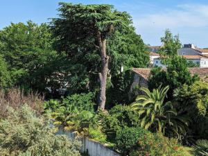 ein Baum mitten im Garten in der Unterkunft Appartement Mainxe-Gondeville, 5 pièces, 8 personnes - FR-1-653-235 in Mainxe