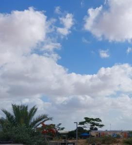 a blue sky with clouds and a palm tree at נצר- צימר 
