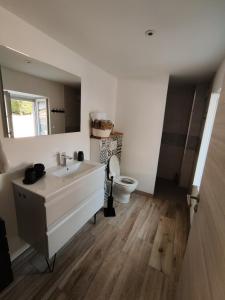 a bathroom with a sink and a toilet at Gte du moulin brochat avec espace jacuzzi commun in Saint-Jean-de-Vaux