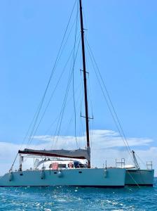 Catamarán Tagomago 50 في مدينة إيبيزا: مركب شراعي جالس في المحيط على الماء