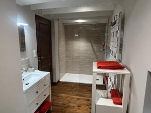 a bathroom with a shower and a white sink and a toilet at The Little Robin in Chevanceaux +35 photos
