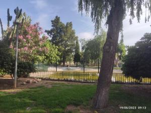 Jardín al aire libre en Apartamento VILLA INÉS parking y wifi gratis