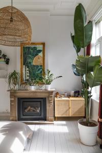 a living room with a fireplace and a plant at Musa Antwerp in Antwerp