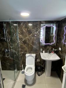 La salle de bains est pourvue de toilettes et d'un lavabo. dans l'établissement Vila Rafael, à Saranda