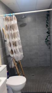 Villeneuve-sur-Yonne的住宿－Les Sainfoins, Idéal voyageurs Pro，带淋浴、卫生间和毛巾的浴室
