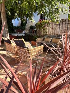 Zahrada ubytování Hostal del vino LA COSTERA
