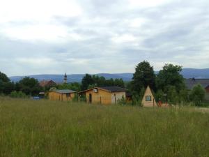a field of tall grass with houses in the background at Szałas, Namiot w Górach Izerskich, agroturystyka, ogrzewanie, klimatyzacja , plac zabaw, ognisko z rusztem i kijkami, żywe zwierzęta, latem basen in Mirsk