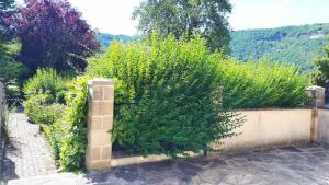 un jardín con plantas verdes en una pared en L'esperance 2, en Haybes