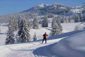 une personne fait du ski sur une piste enneigée dans l'établissement Appartement à la montagne, à Lamoura