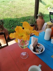 a table with a wine glass with a flower in it at Agriturismo Campolungo in Sant'Ermo
