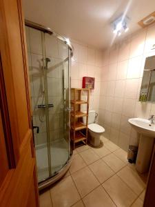 uma casa de banho com um chuveiro, um WC e um lavatório. em Chalet Liberte em Saint-Jean-dʼAulps