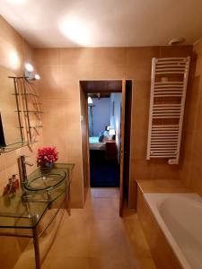 Chalet Liberte في سان جان دو أولبس: حمام مع حوض زجاجي وحوض استحمام