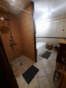 Das Bad ist mit einer Dusche und einer Badewanne ausgestattet. in der Unterkunft L'appel de la foret in Rocroi