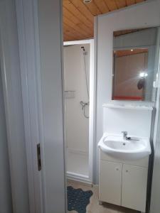 uma casa de banho com um lavatório, um espelho e um chuveiro em La Masia BG parc em Sant Pere Pescador