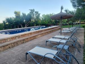 a row of chairs and an umbrella next to a swimming pool at Els Girasols Winter in Campos