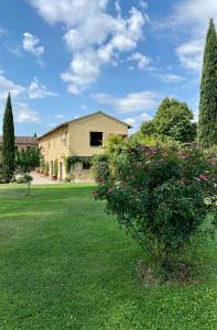 a house with a green yard with a bush at Country Loft at Palazzo di Bagnaia in Castel del Piano
