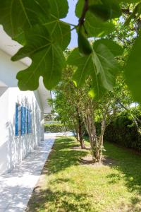 アルバレッラ島にあるAlbarella Villaの白い建物の並木