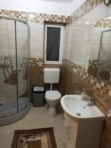 a bathroom with a toilet and a sink and a shower at Casa Brănescu 