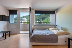 a bedroom with a bed and a large window at Kloster Meister Haus Apartment 15 in St. Blasien